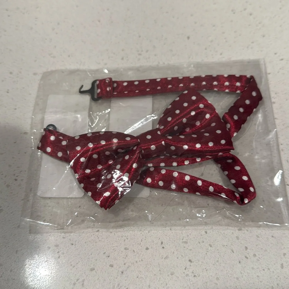 Boys Burgundy Polka Dot Bow Tie